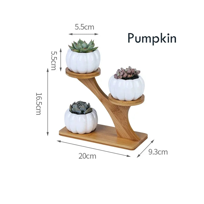 1 Set Ceramic Owl or Pumpkin Ceramic Pots