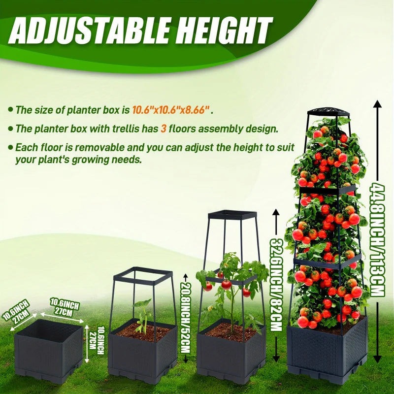 Tomato Plant Box with Climbing Frame