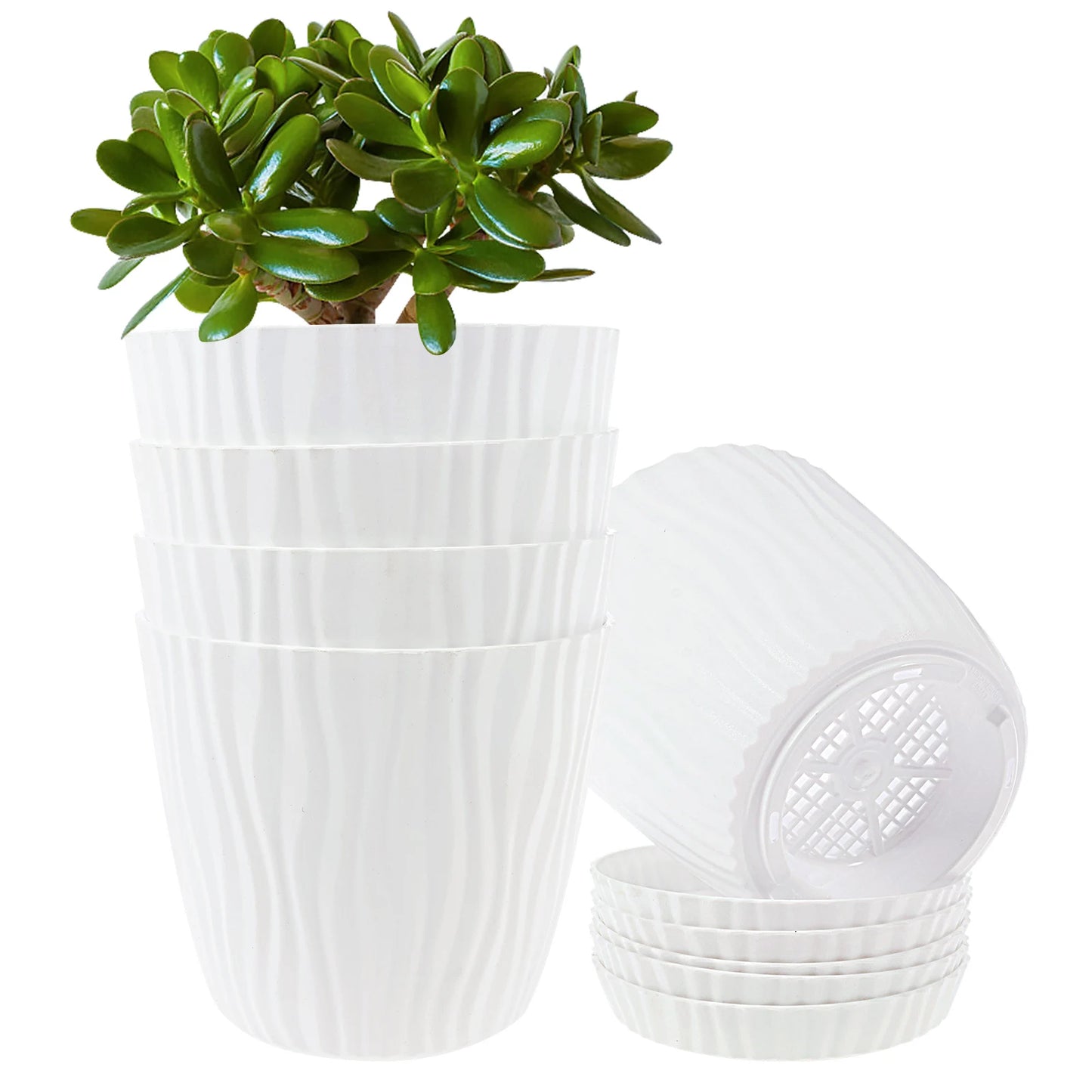 5Pcs Set Flower Pot
