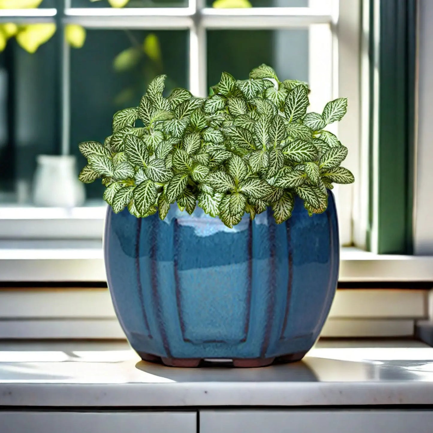 Ceramic Garden Planter