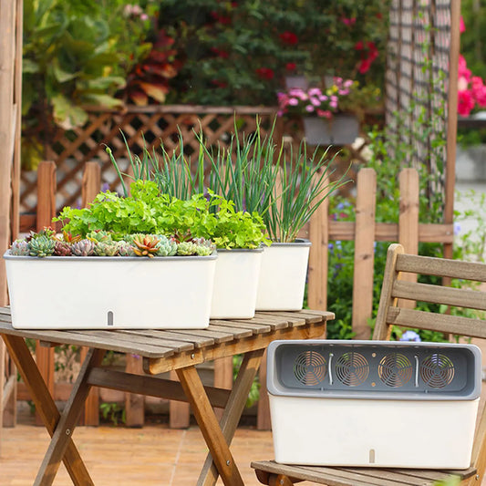 Self-Watering Planter with Water Level Window