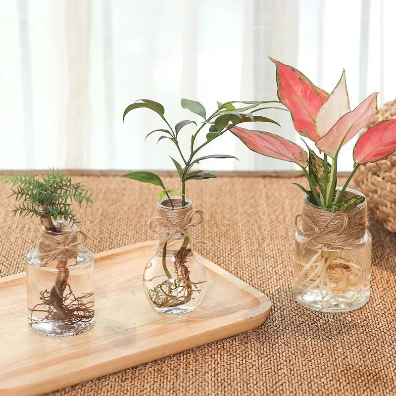 Small Clear Vase