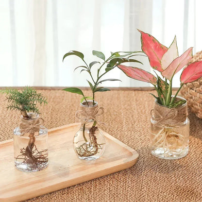 Small Clear Vase