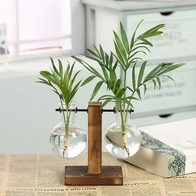 Hydroponic Plant Terrarium