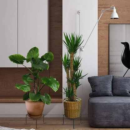 Metal Plant Stand