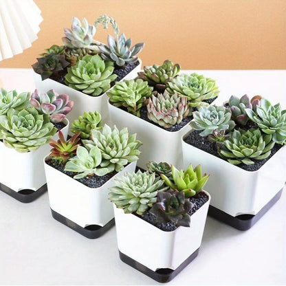 5Pcs Plant Pots