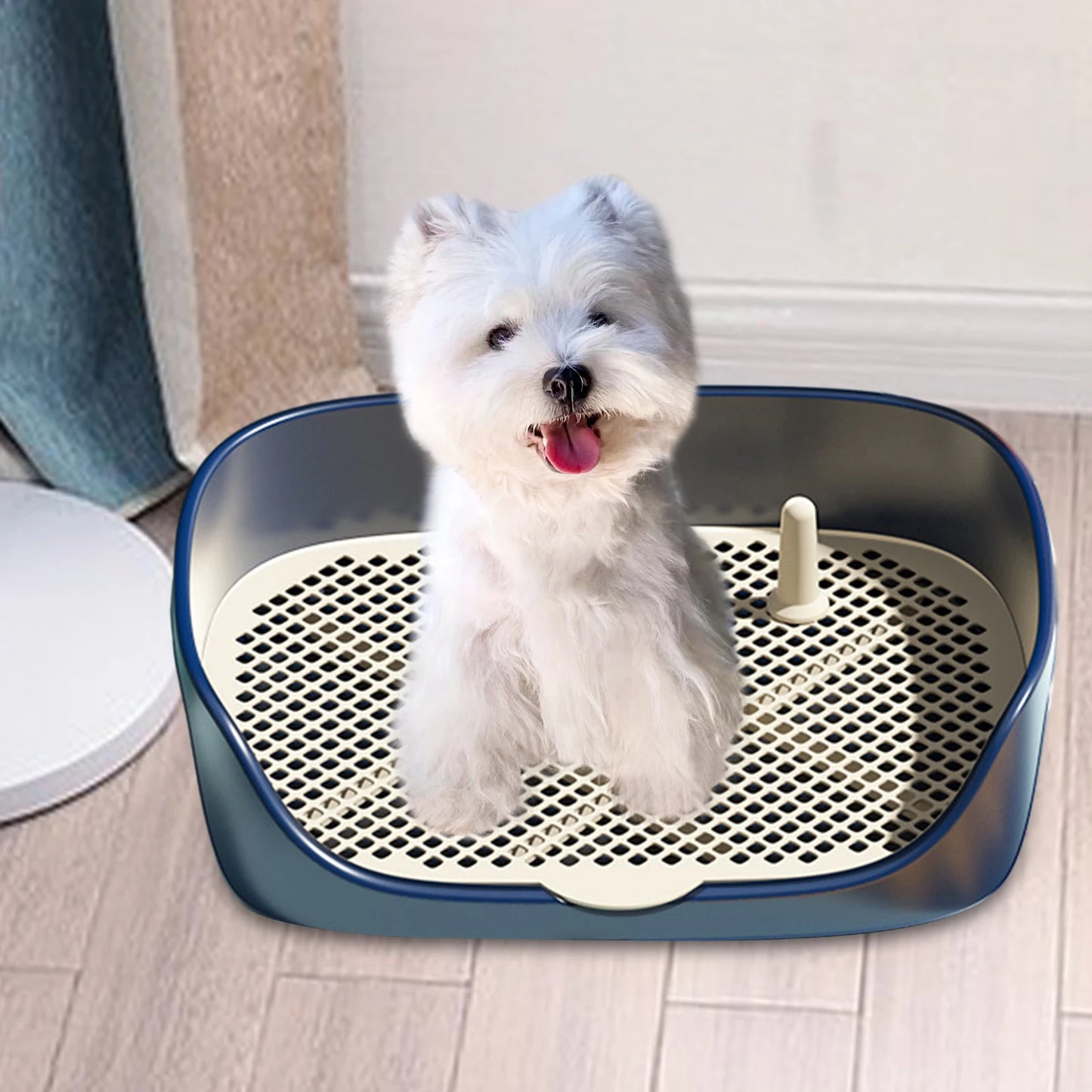 Pet Toilet