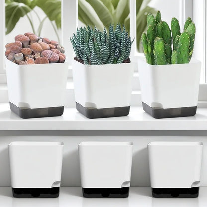 5Pcs Plant Pots