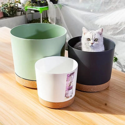 Plant POTS,