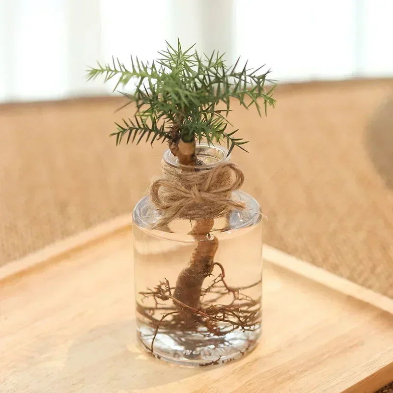 Small Clear Vase