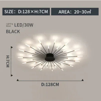 Modern LED Ceiling Lamp