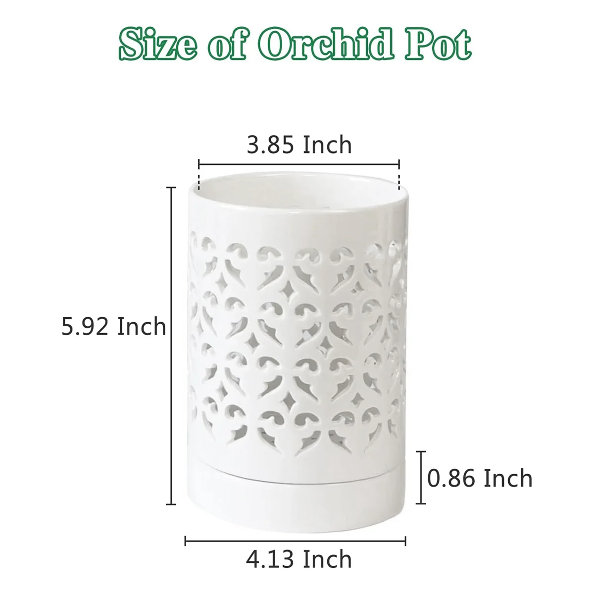 Orchid Pots with Holes