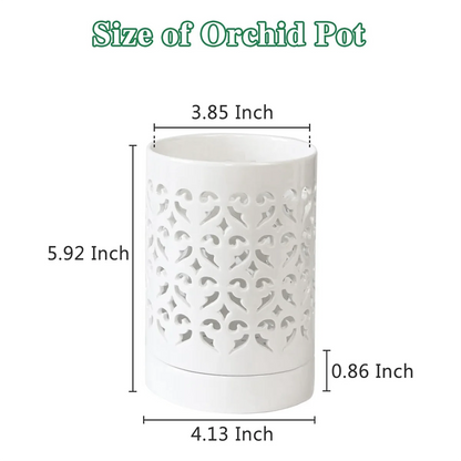 Orchid Pots with Holes