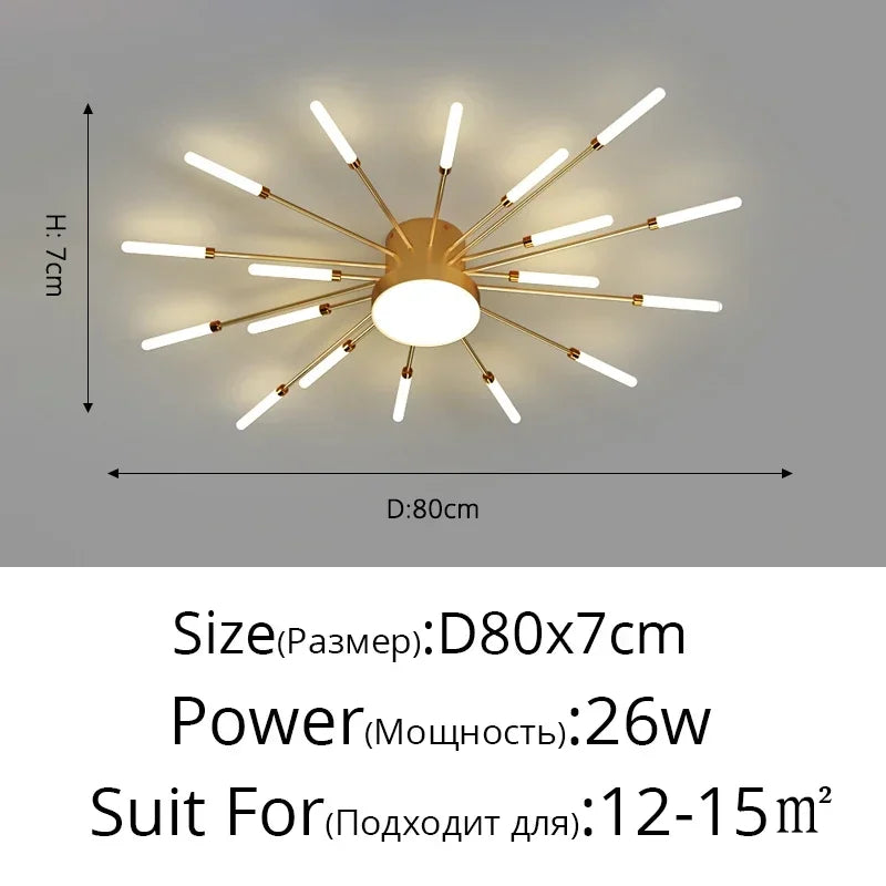 Modern LED Ceiling Lamp