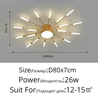 Modern LED Ceiling Lamp