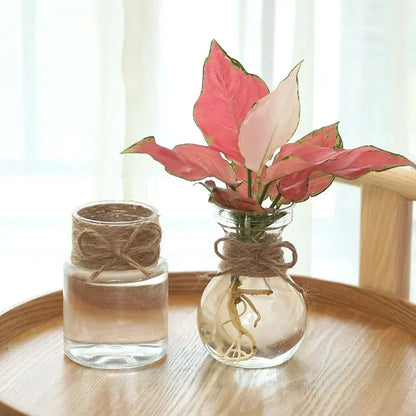 Small Clear Vase