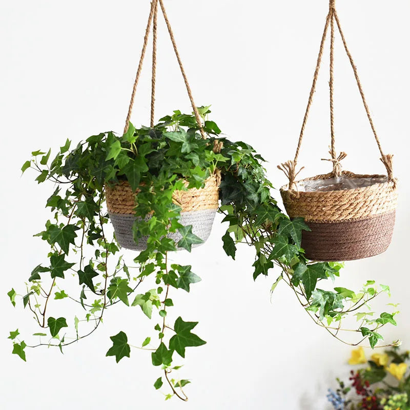 Macrame Hanging Planter