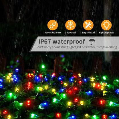 Holiday 24V LED Christmas Lights