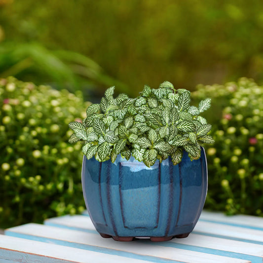 Ceramic Garden Planter