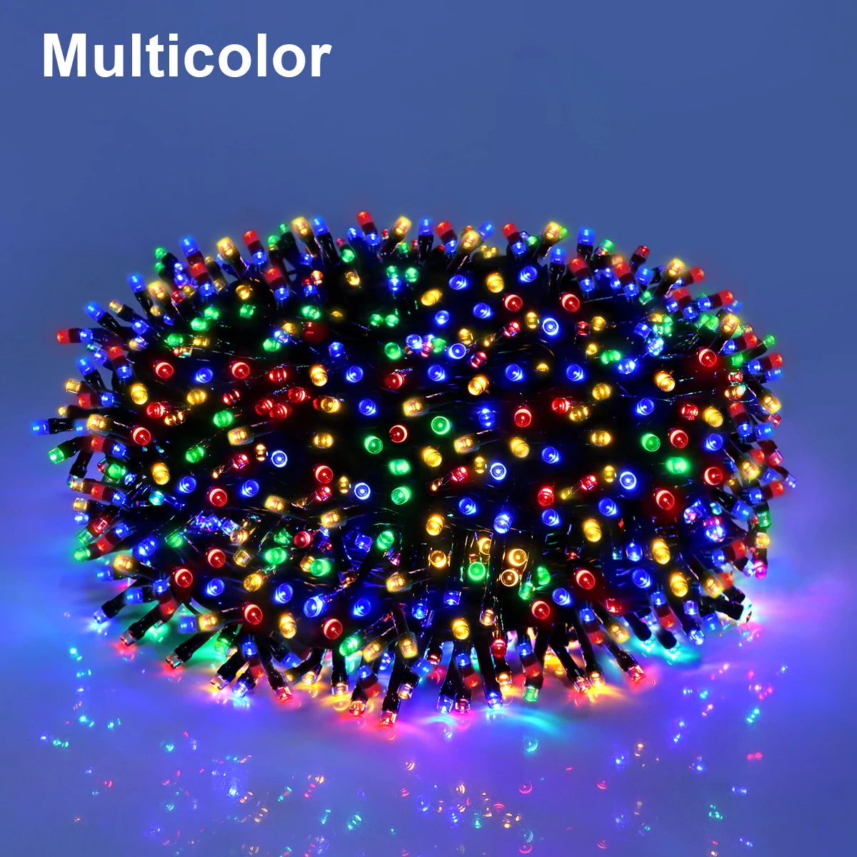 Holiday 24V LED Christmas Lights