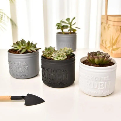 1Pc Flower Pot