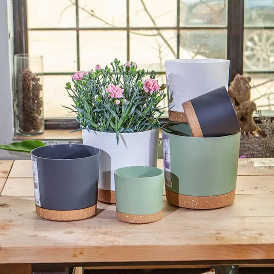 Plant POTS,