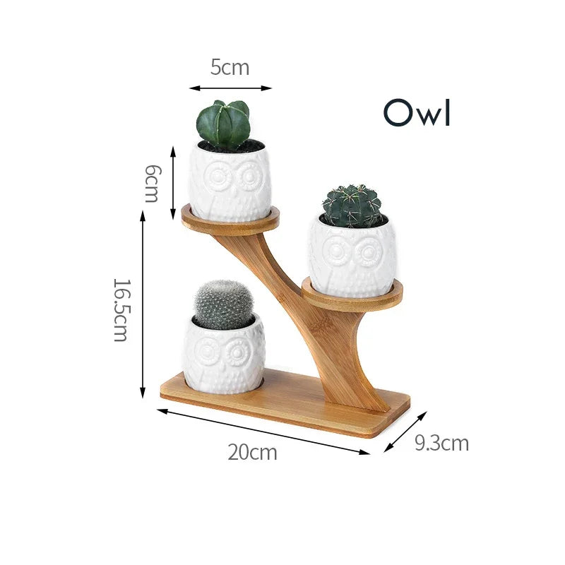 1 Set Ceramic Owl or Pumpkin Ceramic Pots