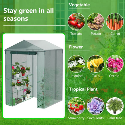 Plant Gardening Greenhouse