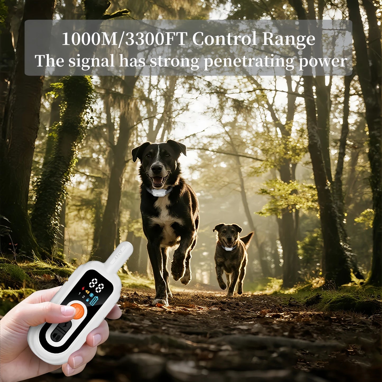 Electric Dog Training Collar