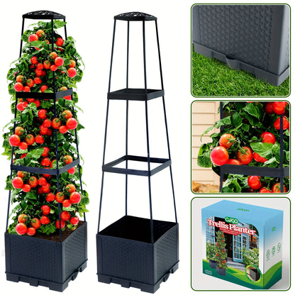 Tomato Plant Box with Climbing Frame