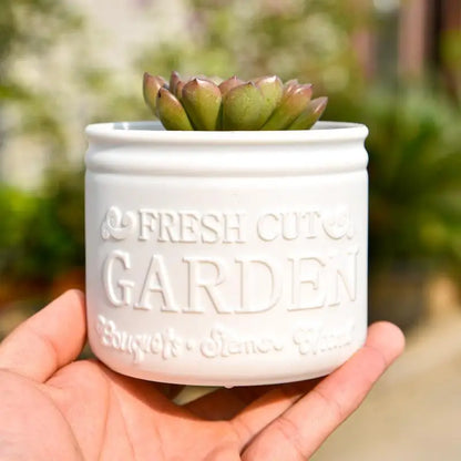 1Pc Flower Pot