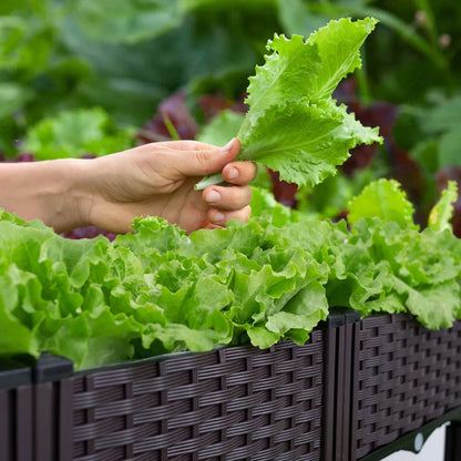 Plastic Raised Planter