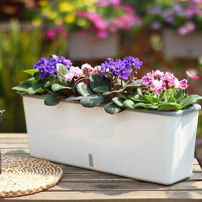 Self-Watering Planter with Water Level Window