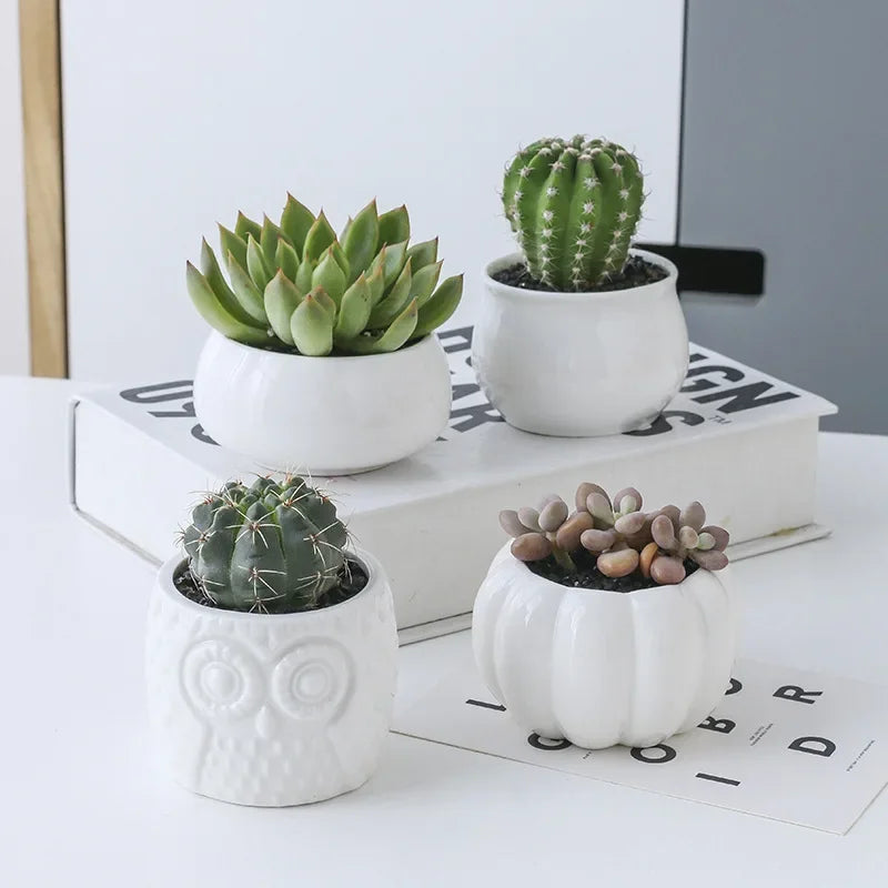 1 Set Ceramic Owl or Pumpkin Ceramic Pots