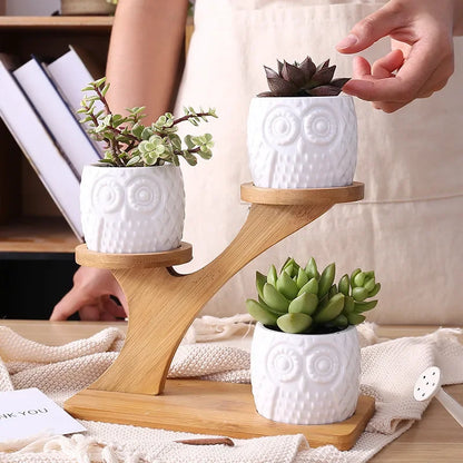 1 Set Ceramic Owl or Pumpkin Ceramic Pots