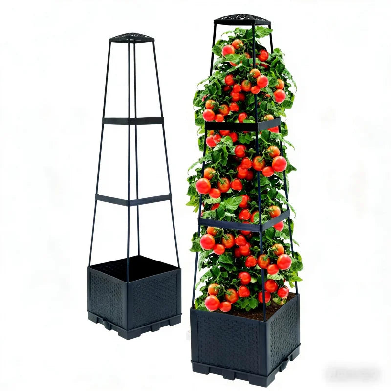 Tomato Plant Box with Climbing Frame