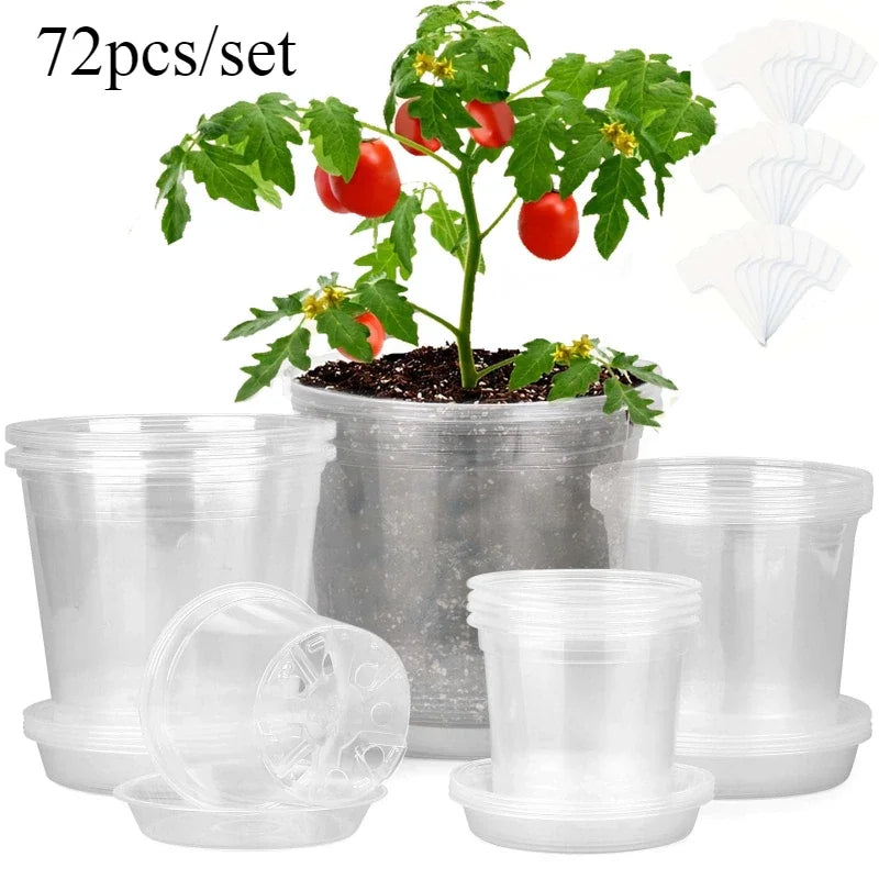 72pcs/set Clear Nursery Pots