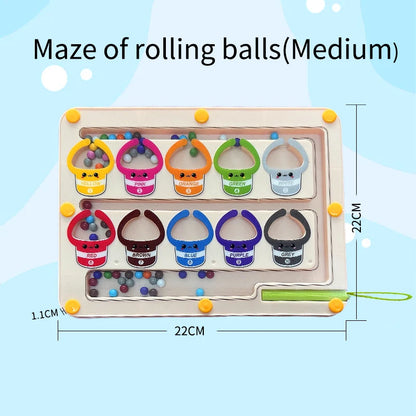 Children's Magnetic Maze