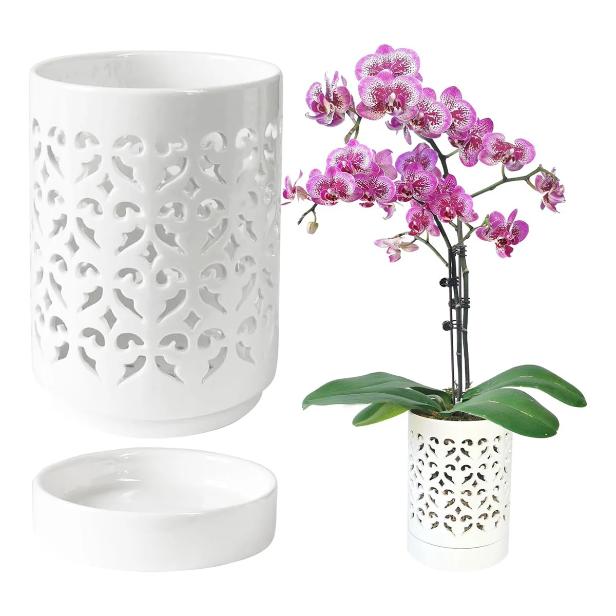 Orchid Pots with Holes
