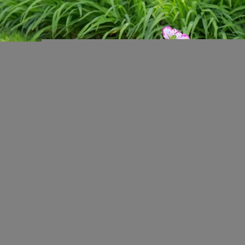 5pcs, Thickened Plastic Planter Tray