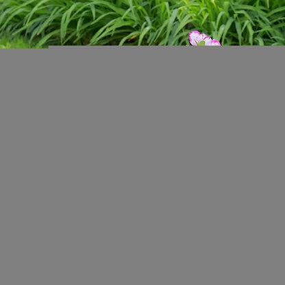 5pcs, Thickened Plastic Planter Tray