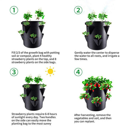 Strawberry Pots And Planters
