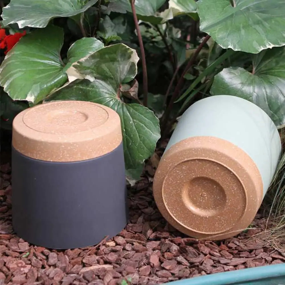 Plant POTS,