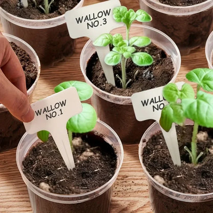 72pcs/set Clear Nursery Pots