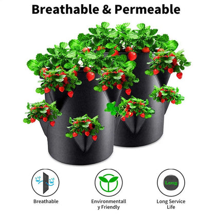 Strawberry Pots And Planters