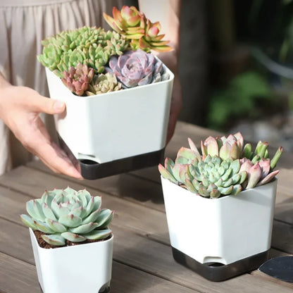 5Pcs Plant Pots, Self Watering Flower Pots