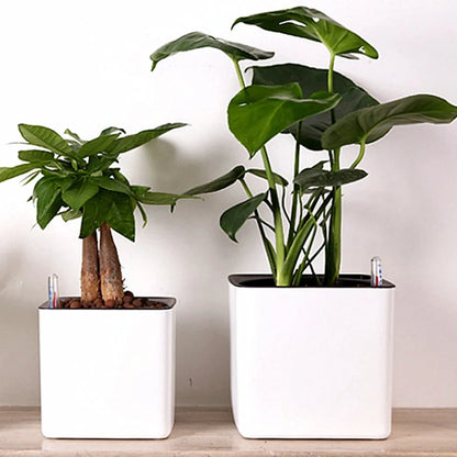 Durable Self-Watering Pots