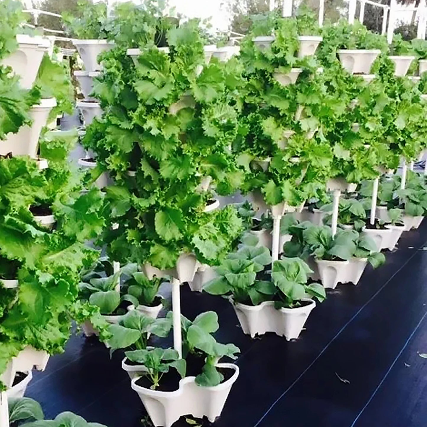 Stackable Vertical Planter