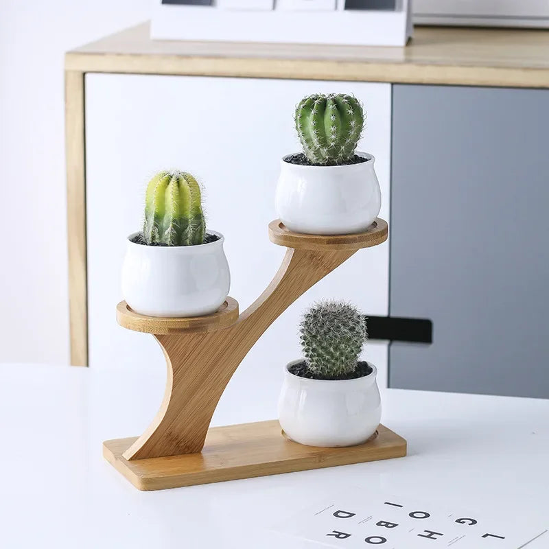 1 Set Ceramic Owl or Pumpkin Ceramic Pots