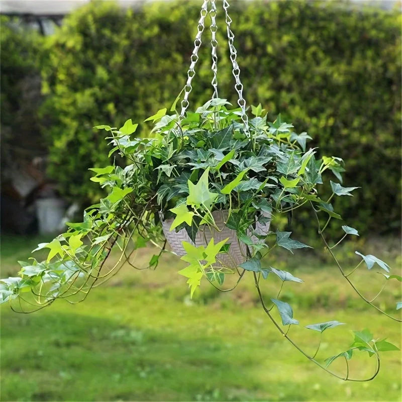 2pcs Hanging Flower Pots